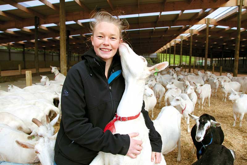 A barn for Tukituki Dairy Goats