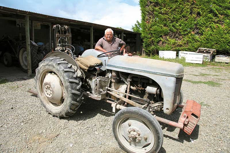 Vintage tractor collection in Gisborne