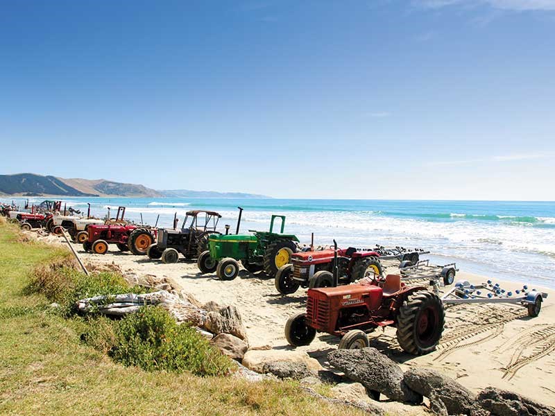 Spotted: old machinery at Waimarama Beach