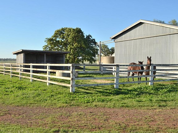 Enterprise horse yard