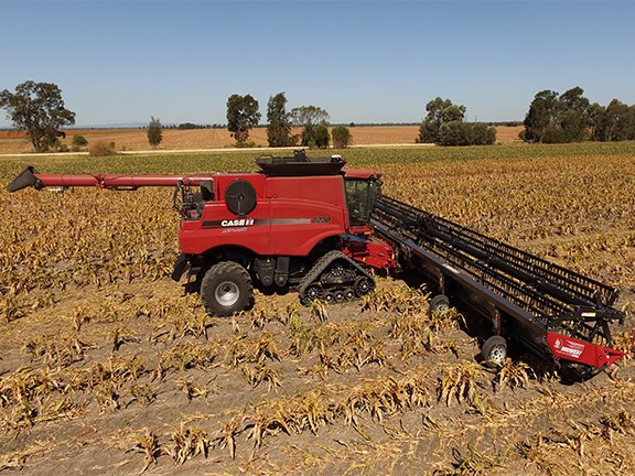 The 60ft (18-metre) Midwest Durus harvest draper platform, fitted to a Case IH class eight combine cutting sorghum crop on the Darling Downs.