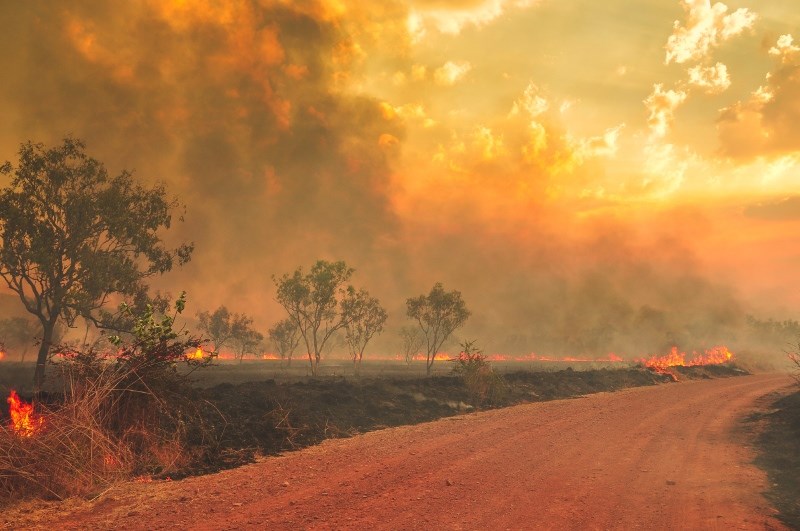 Bushfires are devastating