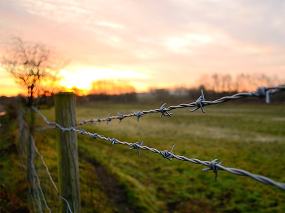 Most weather problems associated with fences are lessened by clearing wide fence lines that simply don’t have trees or anything but grass nearby.