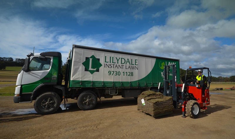 Moffett M5 forklift and Lilydale Instant Lawn