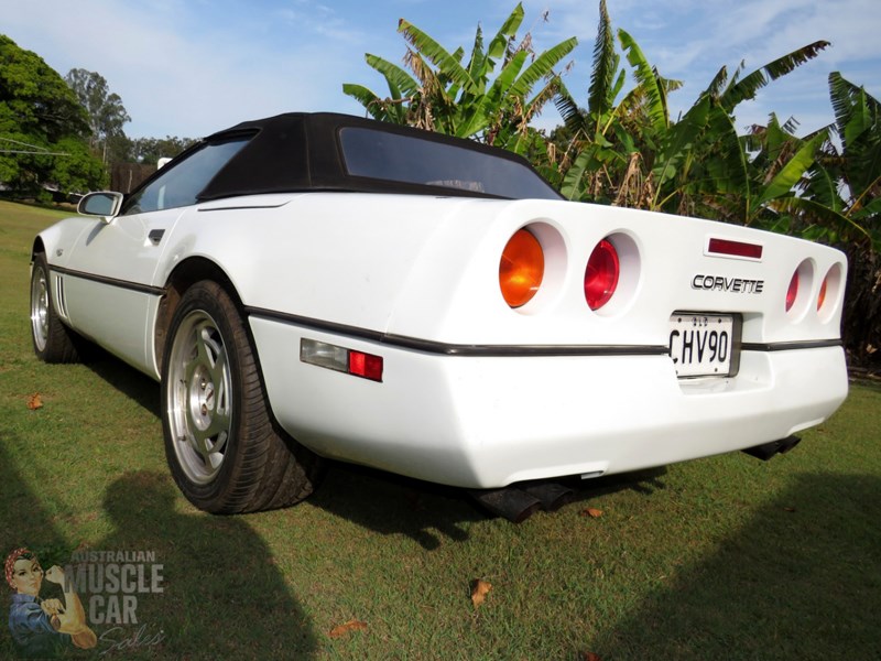 C4Corvette rear side