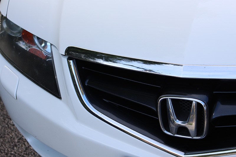 honda accord euro grille