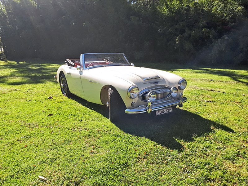 austinhealey2