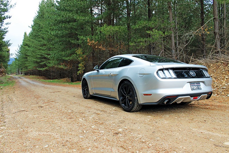 ford mustang ecoboost rear