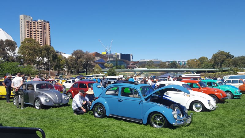 02 Elder Park is both picturesque and central for getting one s Bug on