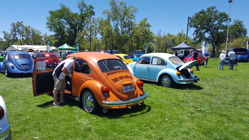 79 Late bug with the elephant foot tail lights nice and tidy in a quinessential 70s colour