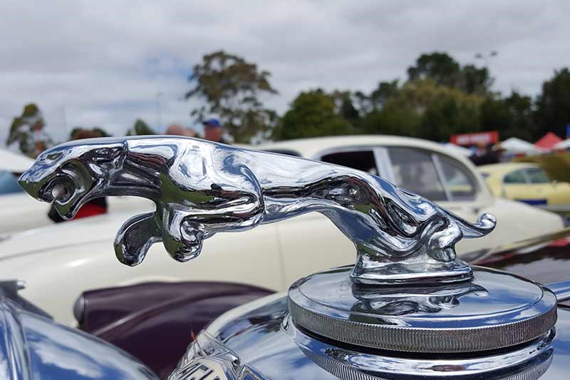 46 jaguar emblem