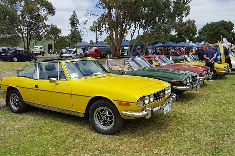 69 triumph stags