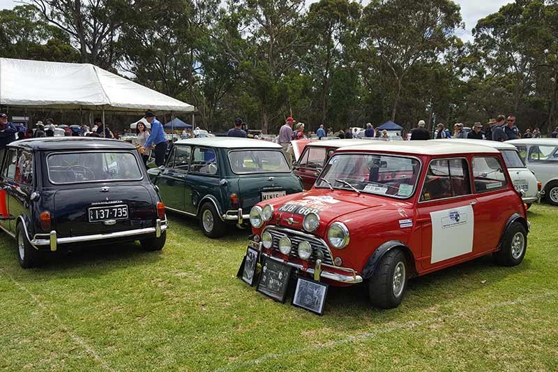 70 minis