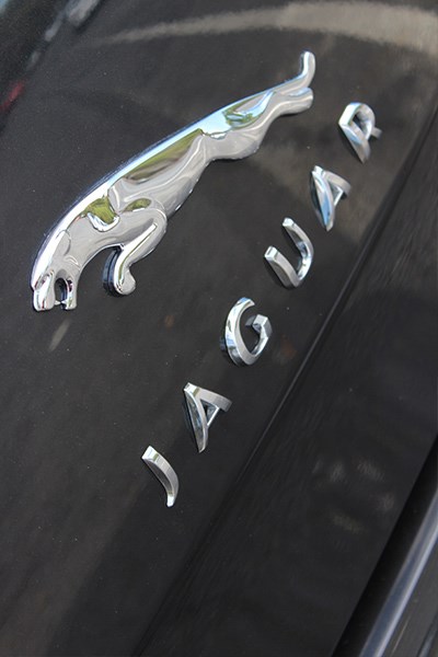 jaguar badge