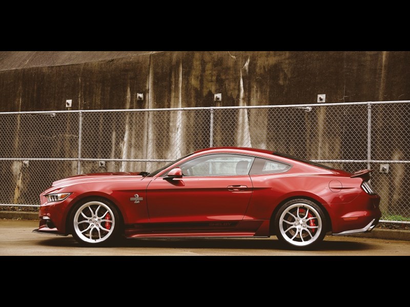 Ford Shelby Mustang Super Snake 