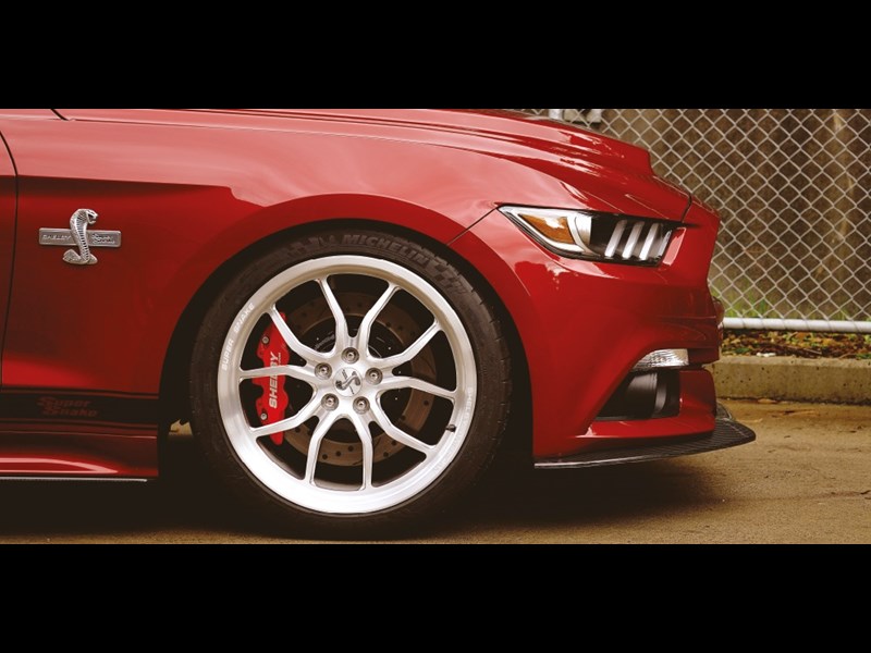 Ford Shelby Mustang Super Snake 