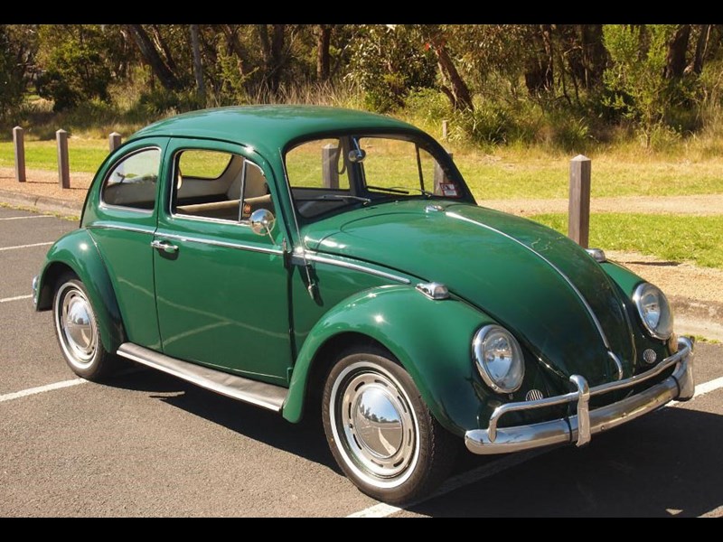 1967 VW Beetle - Today's Tempter