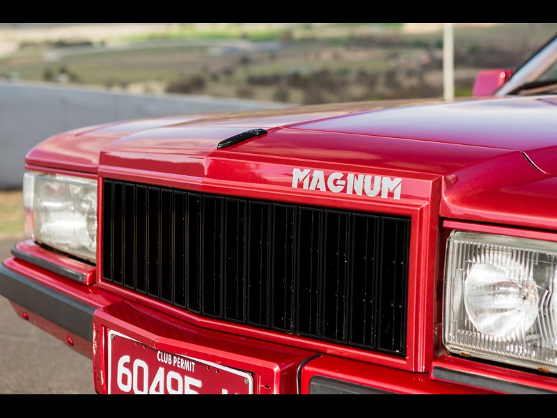 1984 HDT Magnum