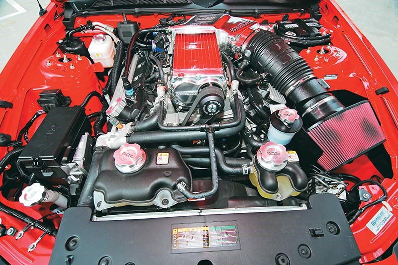 shelby gt500 super snake engine bay