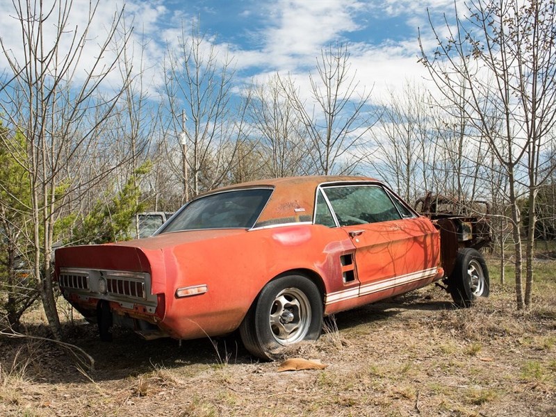 Little Red Shelby GT500