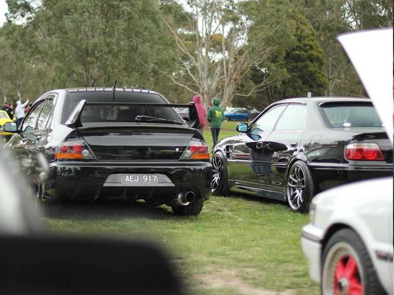 Sakura Picnic Evo rear