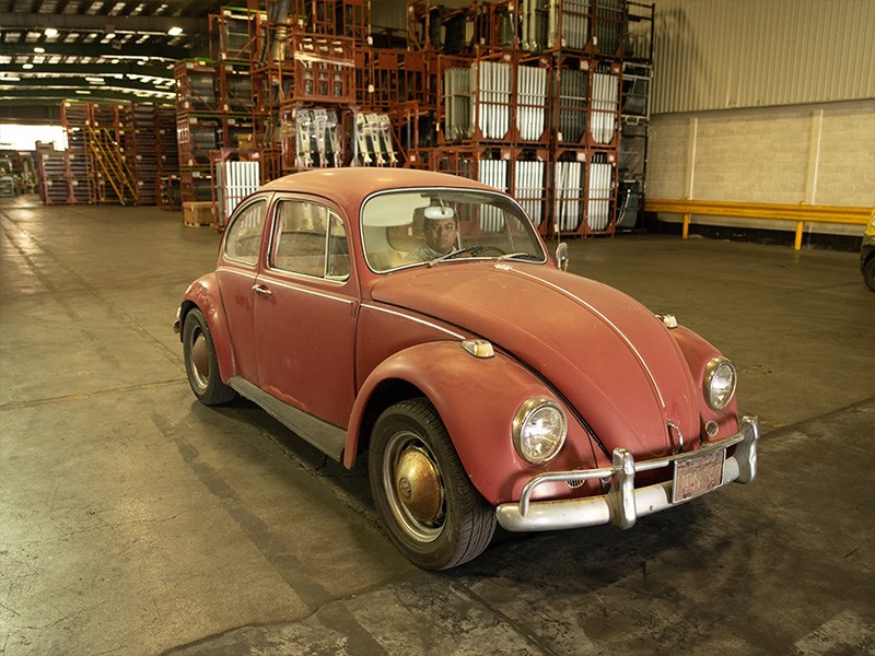 Annie the Beetle before