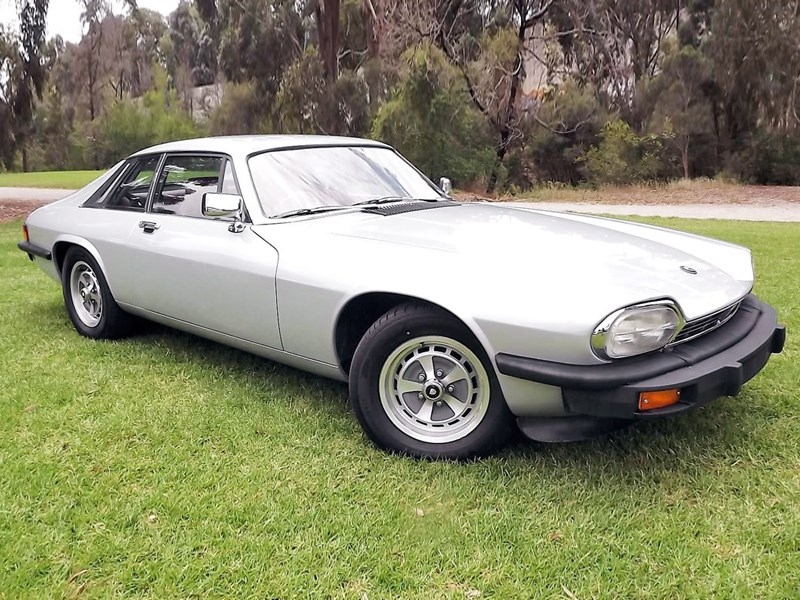 Jaguar XJS Tempter