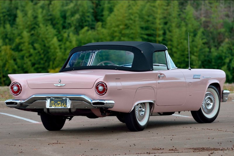 Minter Thunderbirds Dusk Rose rear