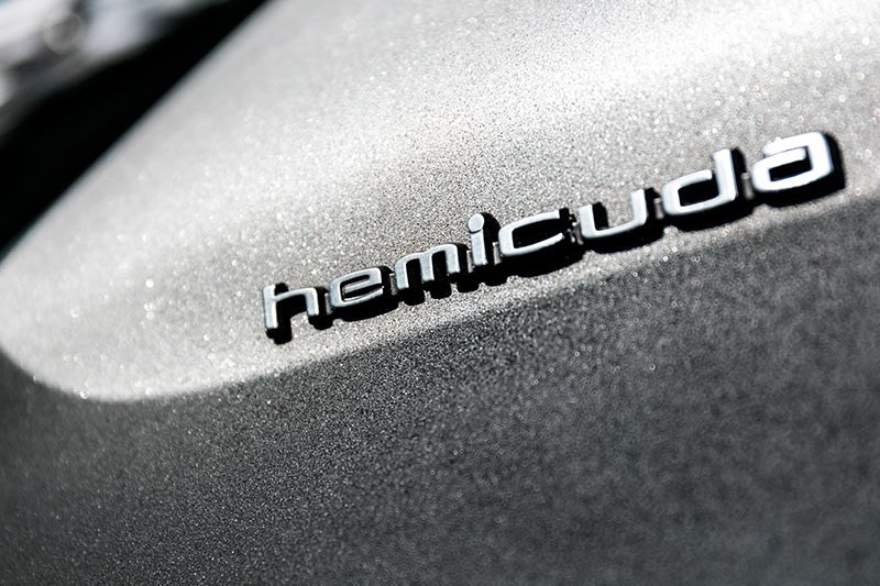 hemicuda badge