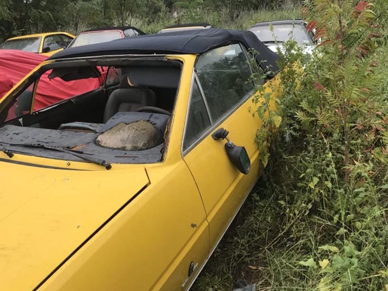 Abandoned Ferraris window smashed