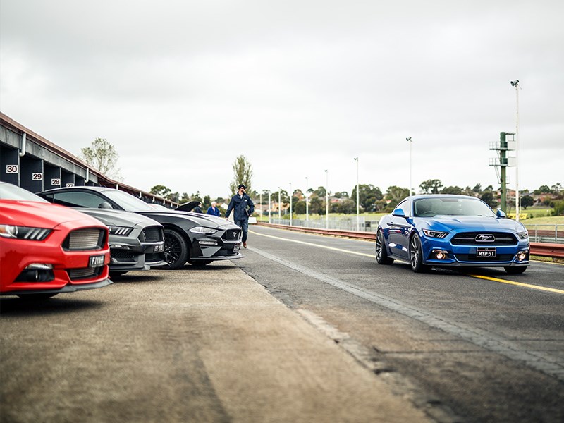 MM Day new mustangs