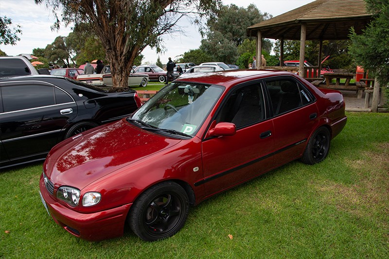 Toyota Winterfest Corolla sedan