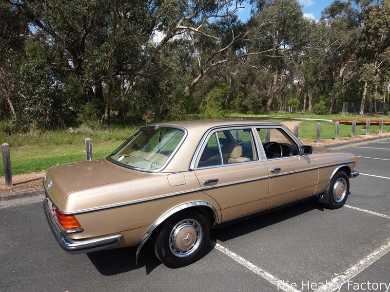 W123 Merc rear