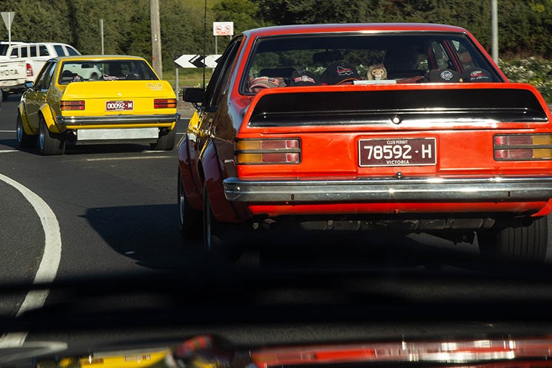 torana cruise 8627