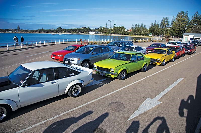 torana cruise 8642