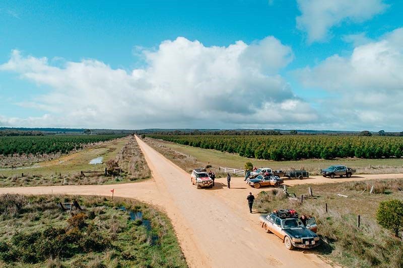 variety bash 45