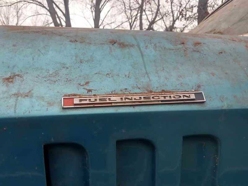 Corvette barn find fuelie