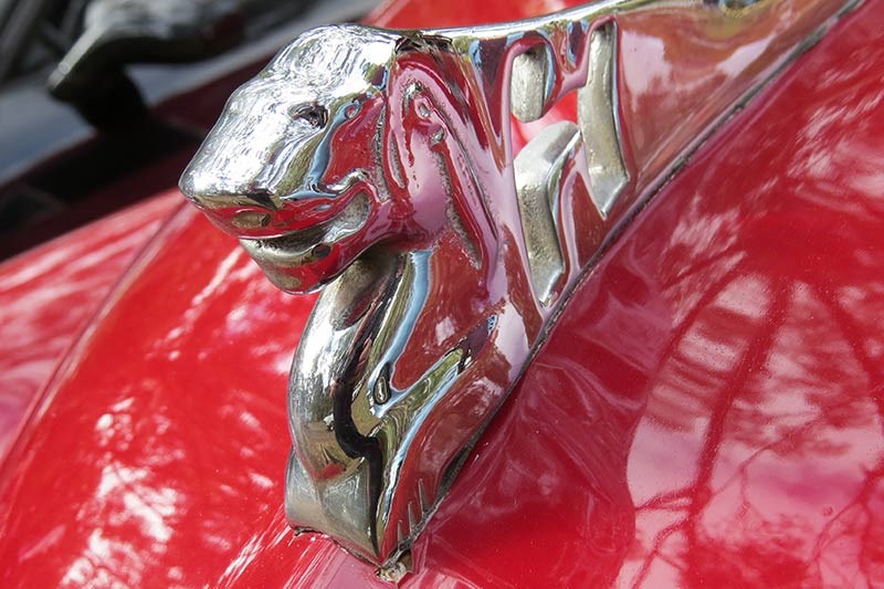 holden fj delivery van bonnet emblem