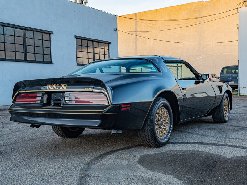 The Bandits trans am rear side