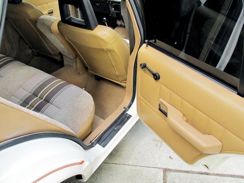XD Falcon Spack interior rear