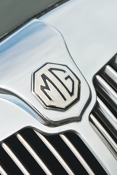 MGA badge 2