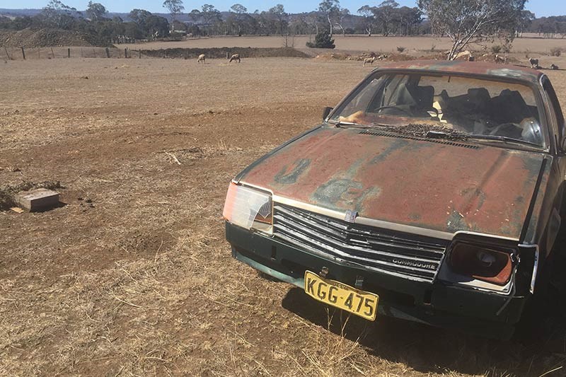 holden vb commodore paddock find