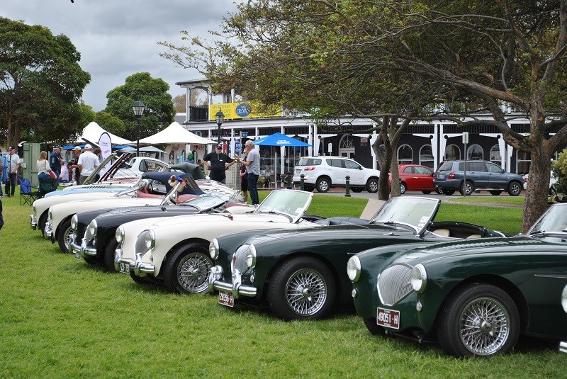 05 Austin Healey 100 line up