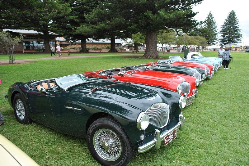 07 Austin Healey 100 line up