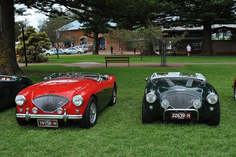 09 Austin Healey 100 line up