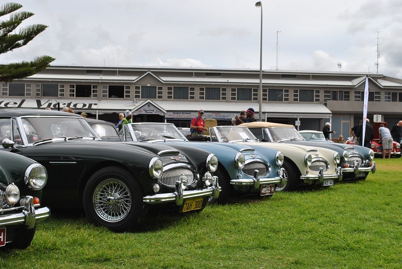 14 Austin Healey 3000 line up