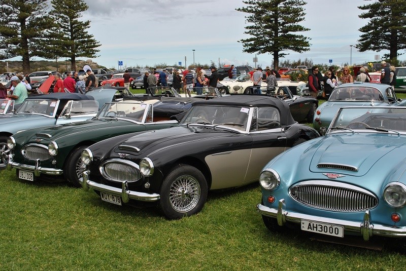 16 Austin Healey 3000 line up