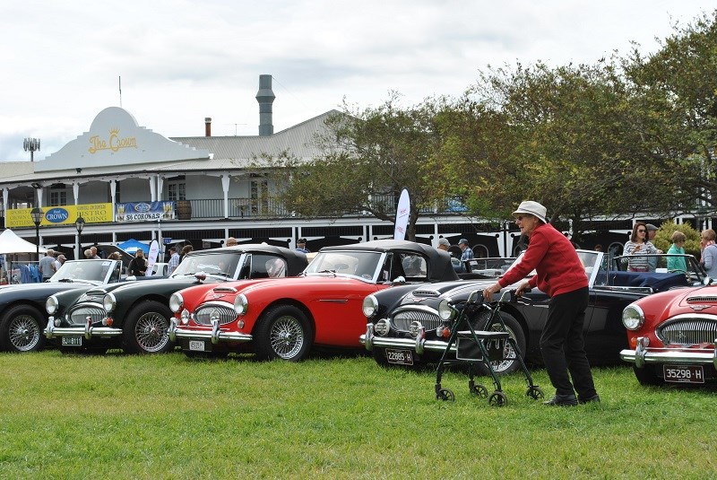 20 Austin Healey 3000 line up