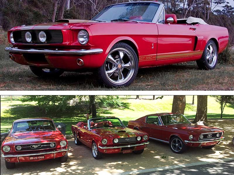 Canberra Mustang Show