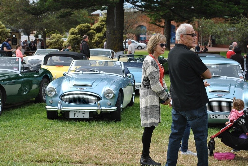 21 Austin Healey 3000 line up with Helen Bishop